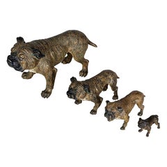 Franz Xaver Bergman Set of Four Cold Painted Bronzes of Bulldogs