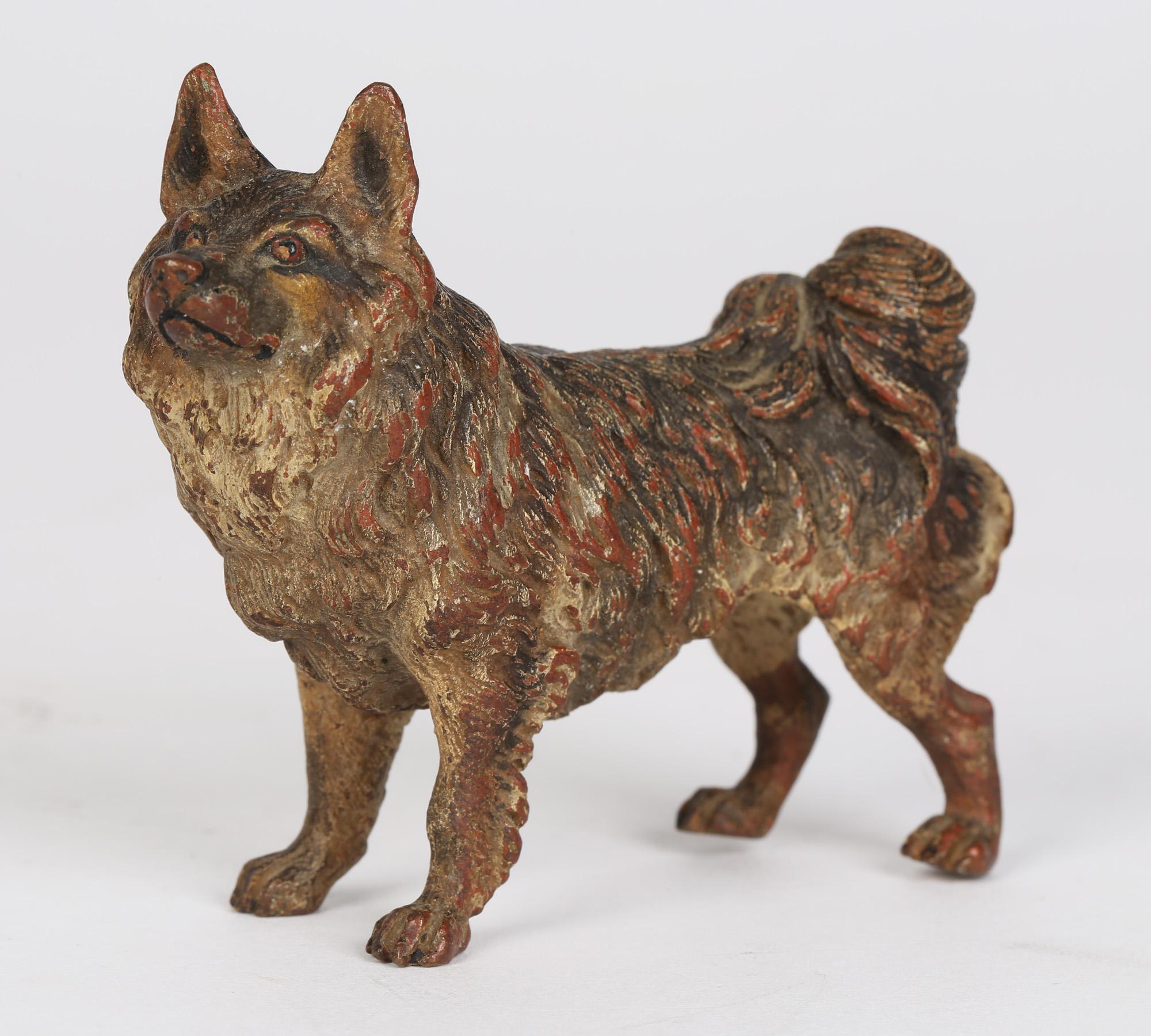 Franz Xaver Bergmann Attributed Austrian Cold Painted Bronze Dog Figure 4