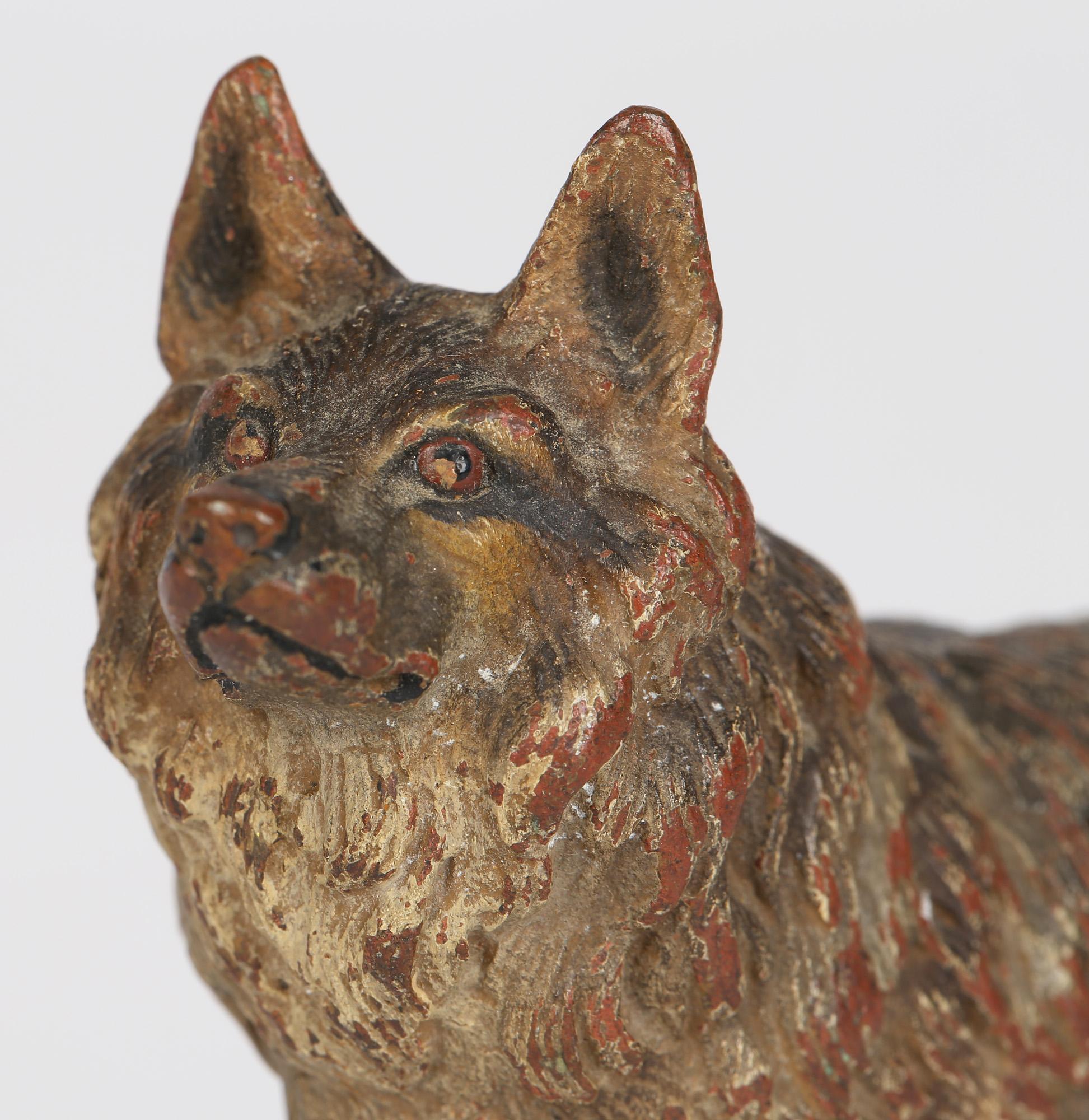 Franz Xaver Bergmann Attributed Austrian Cold Painted Bronze Dog Figure 5