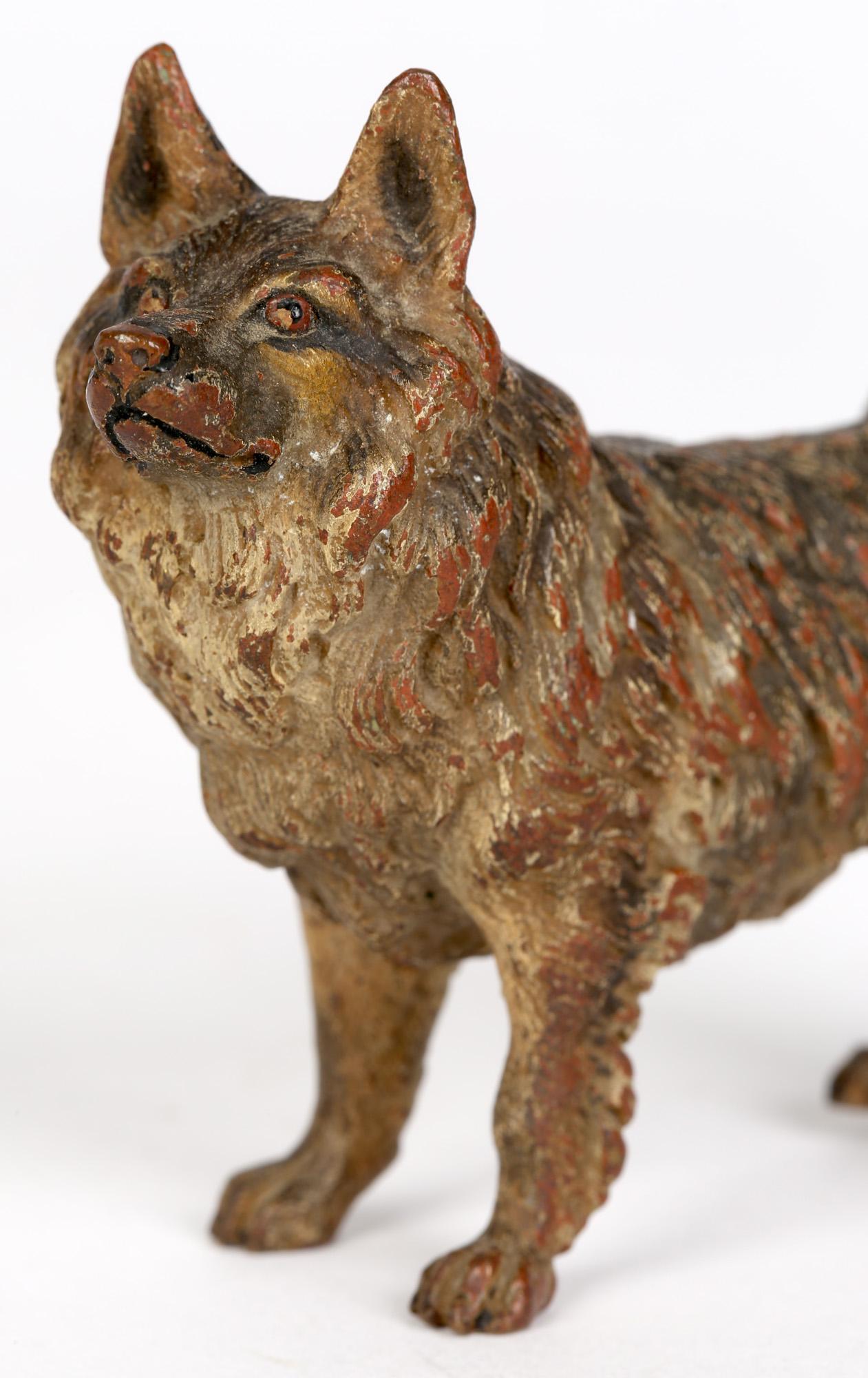 Franz Xaver Bergmann Attributed Austrian Cold Painted Bronze Dog Figure 6
