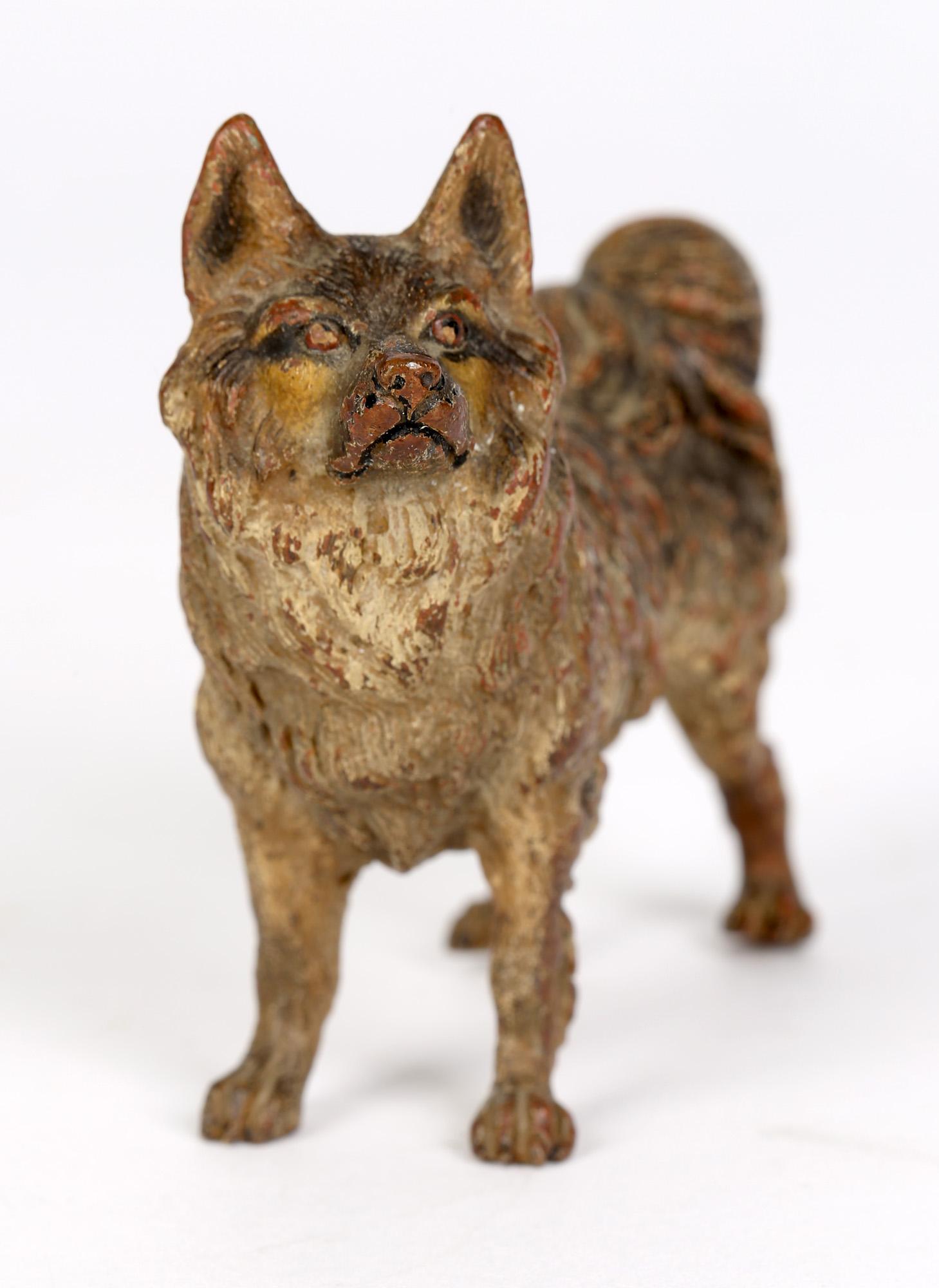 Franz Xaver Bergmann Attributed Austrian Cold Painted Bronze Dog Figure In Good Condition In Bishop's Stortford, Hertfordshire