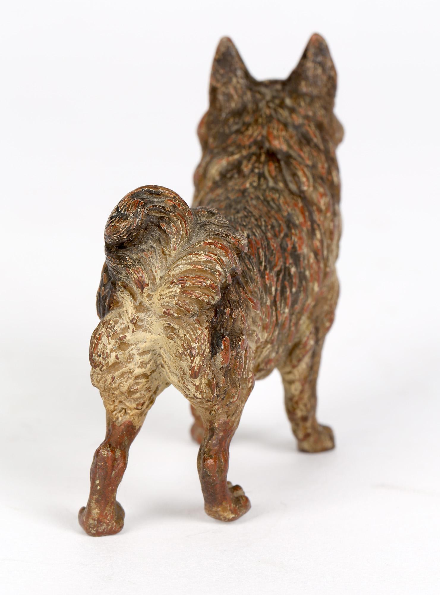 Early 20th Century Franz Xaver Bergmann Attributed Austrian Cold Painted Bronze Dog Figure