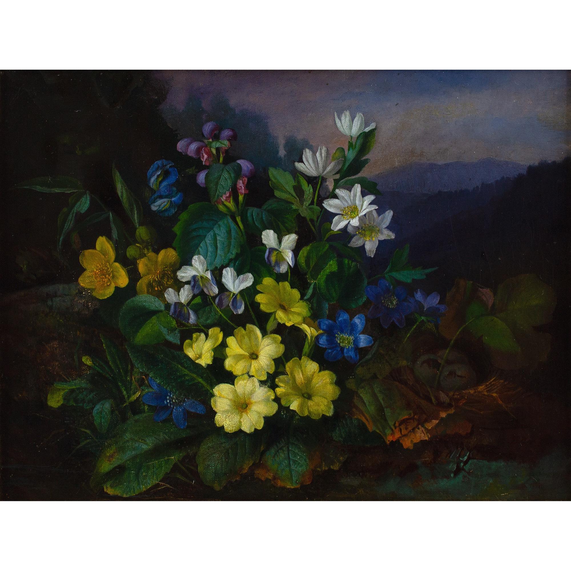 Franz Xaver Petter (Cerchio), Natura morta con flora alpina in vendita 1