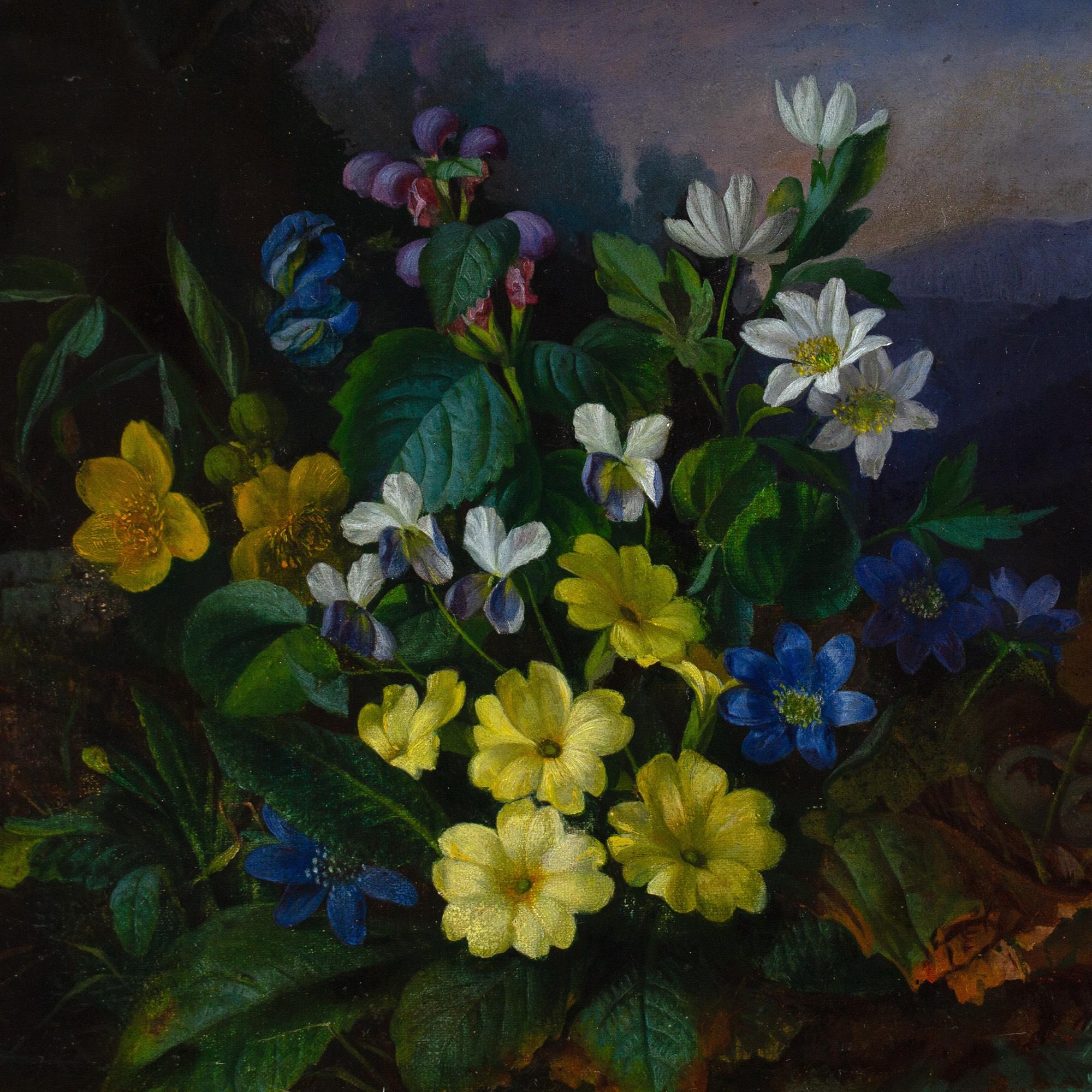 Franz Xaver Petter (Cerchio), Natura morta con flora alpina in vendita 5