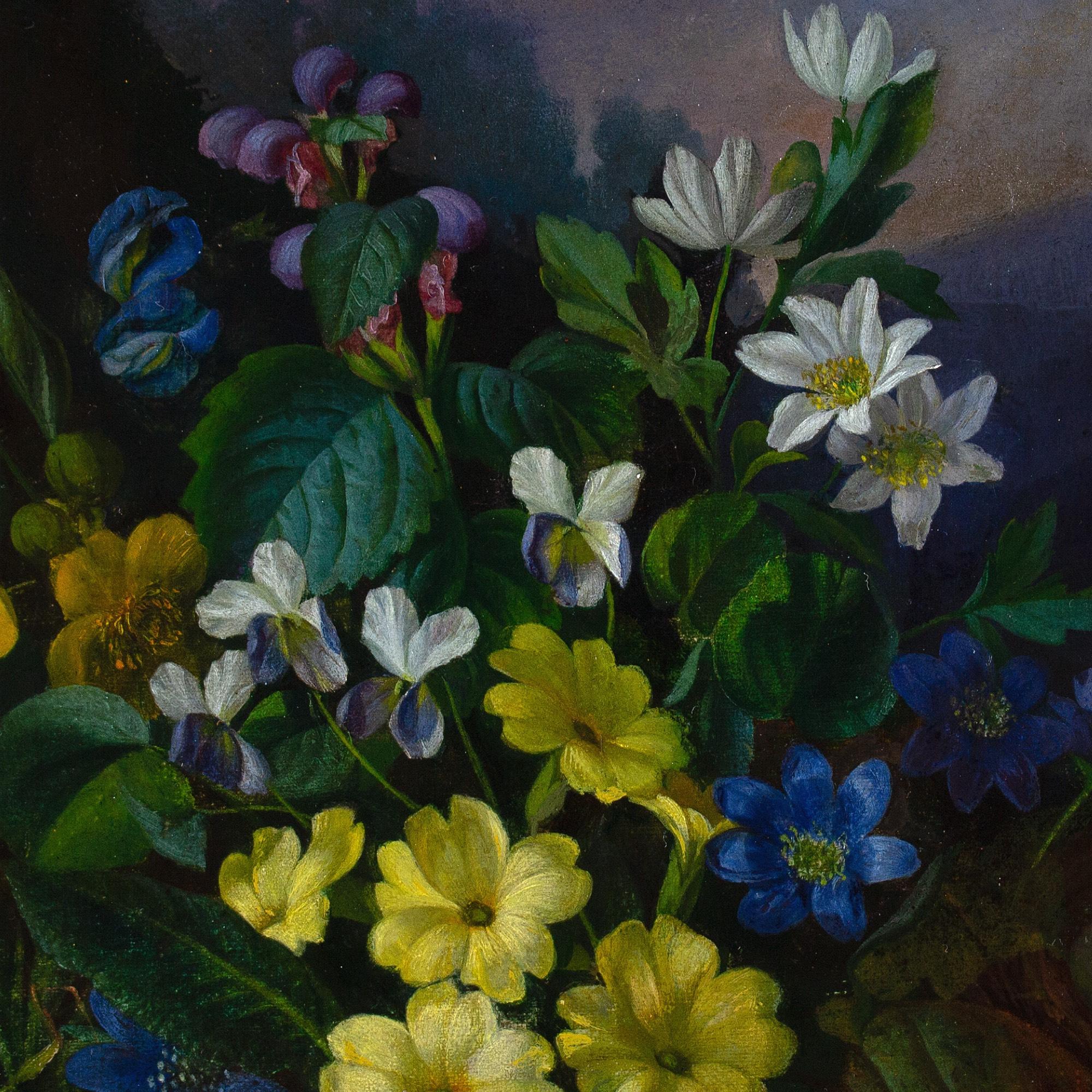 Franz Xaver Petter (Cerchio), Natura morta con flora alpina in vendita 6