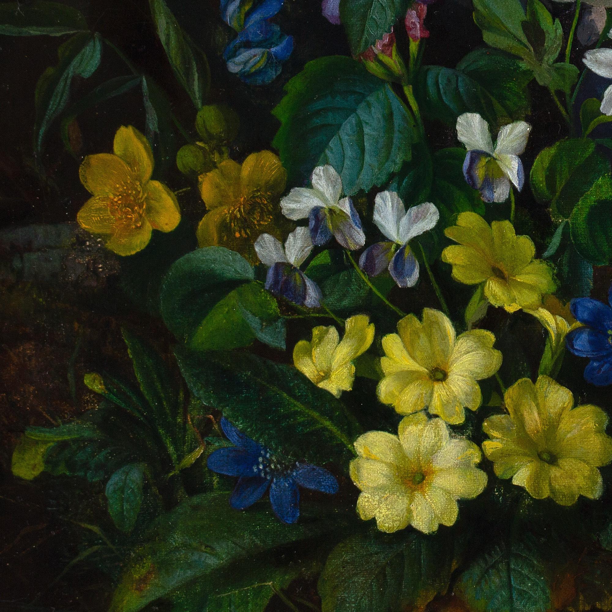Franz Xaver Petter (Cerchio), Natura morta con flora alpina in vendita 7