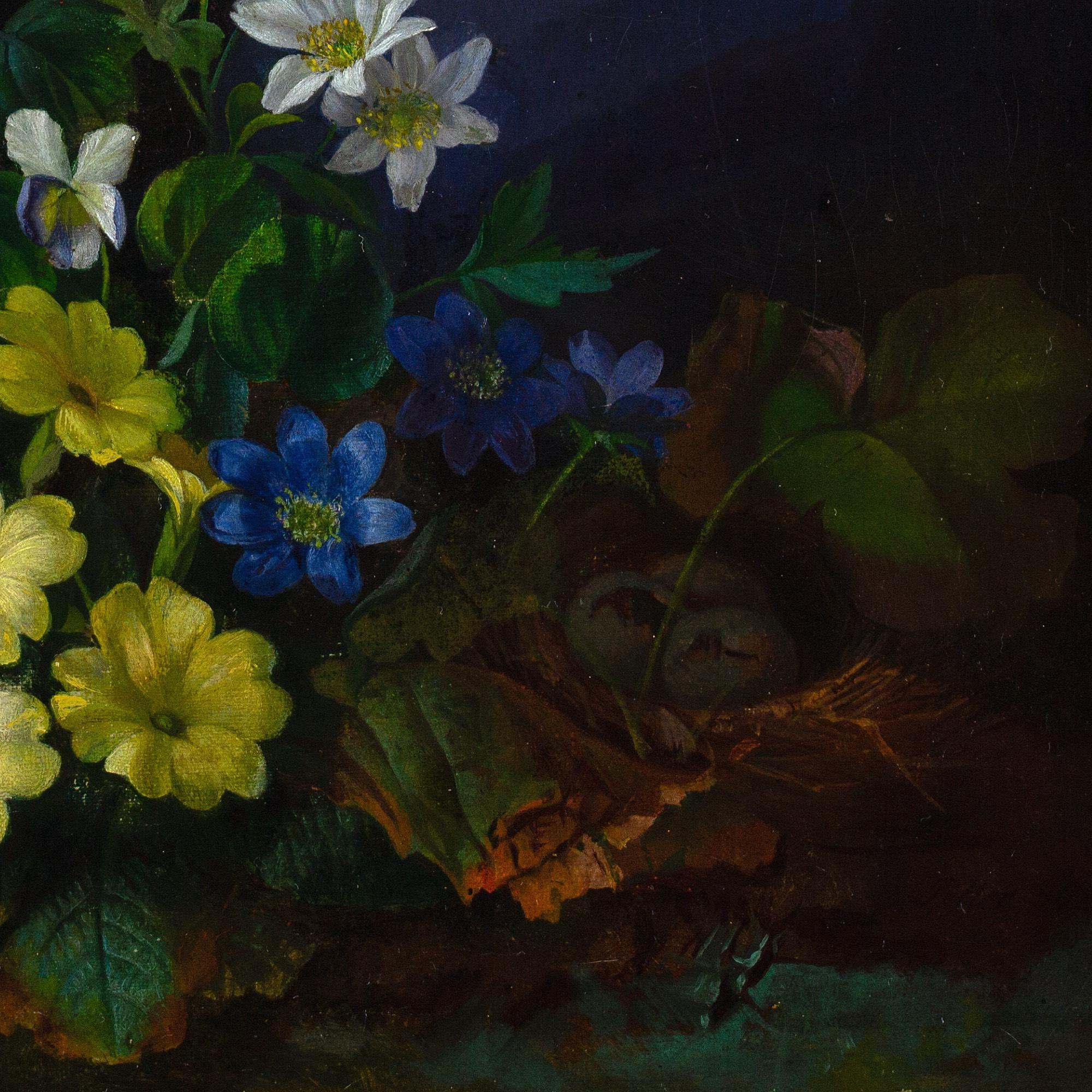 Franz Xaver Petter (Cerchio), Natura morta con flora alpina in vendita 8