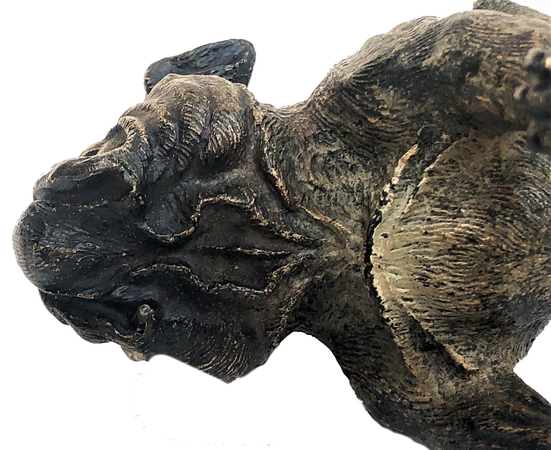 Französischer Bulldogge, Wiener Bronzeskulptur, Ca. 1900, von Xavier Bergmann im Angebot 4