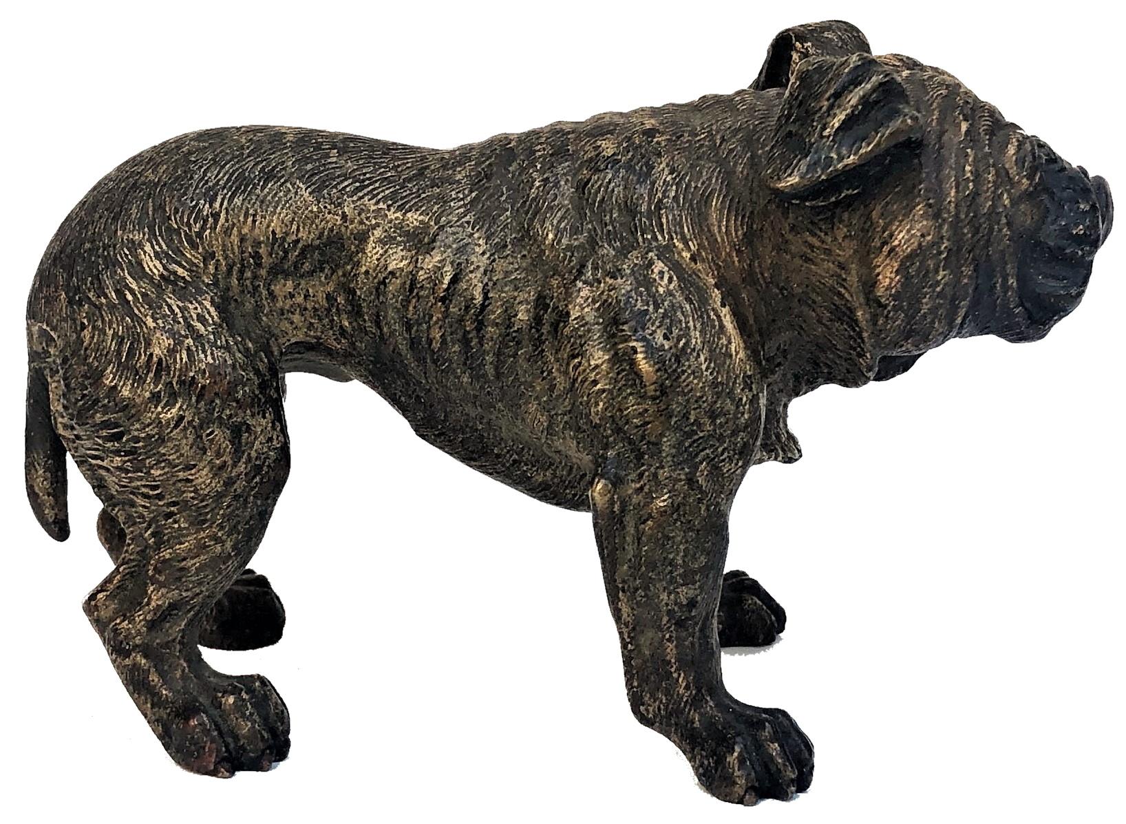 Französischer Bulldogge, Wiener Bronzeskulptur, Ca. 1900, von Xavier Bergmann (Österreichisch) im Angebot