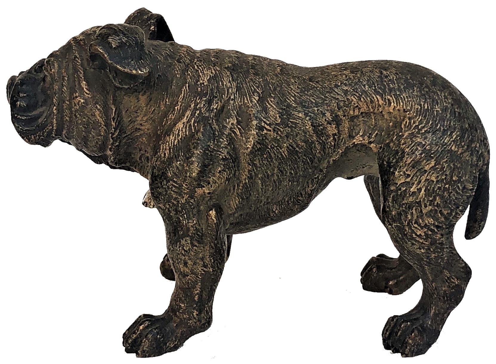 Französischer Bulldogge, Wiener Bronzeskulptur, Ca. 1900, von Xavier Bergmann (Kaltmalerei) im Angebot