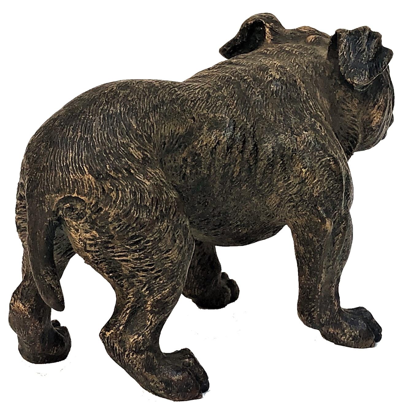 Französischer Bulldogge, Wiener Bronzeskulptur, Ca. 1900, von Xavier Bergmann (Frühes 20. Jahrhundert) im Angebot