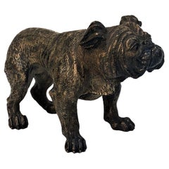 Franz Xavier Bergmann, English Bulldog, Vienna Bronze Sculpture, Ca. 1900