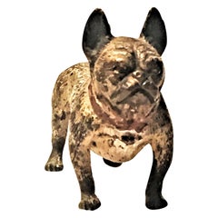 Vintage Franz Xavier Bergmann, French Bulldog, Miniature Vienna Bronze Sculpture, 1900