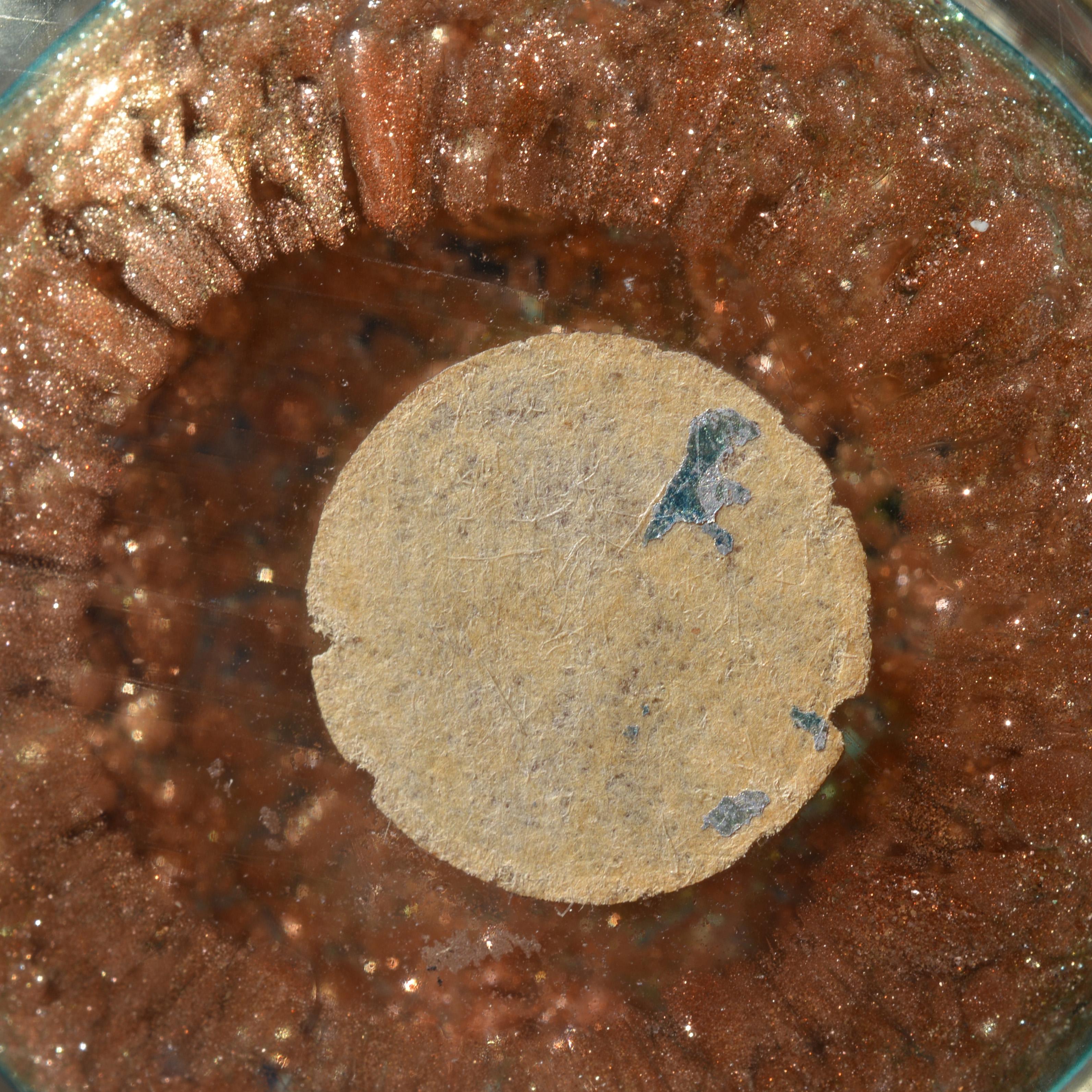 Fratelli Toso MILLEFIORI Fermacarte, Collection'S Pina in vendita 2