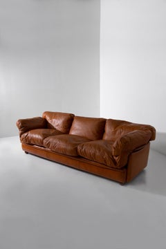 Frau Italian leather sofa by Tito Agnoli, Poppy model