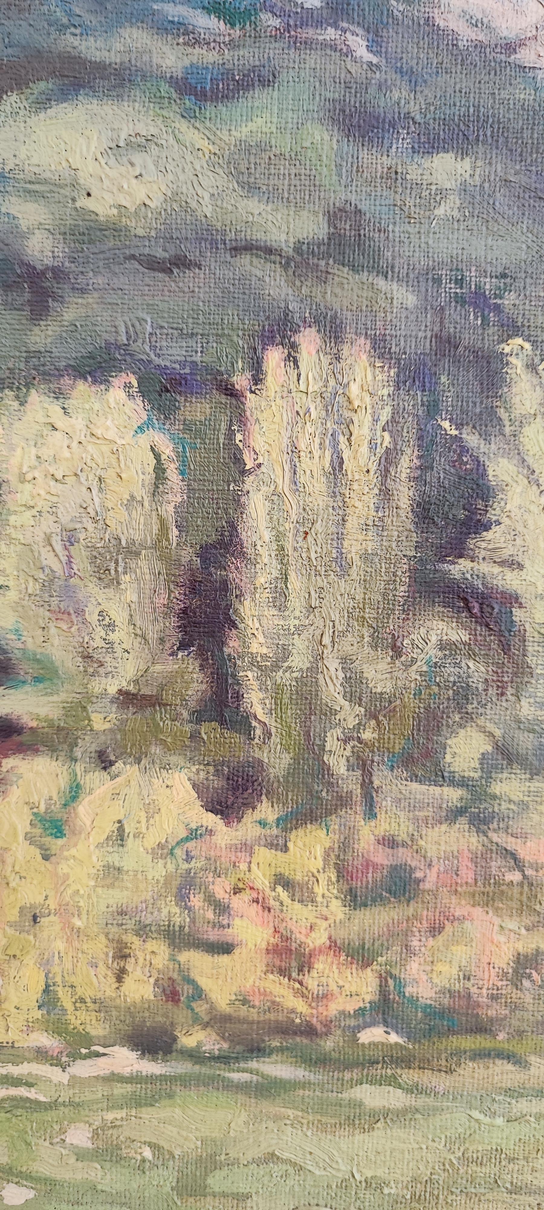 Paesaggio in vendita 2