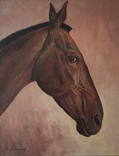 Cheval Nita