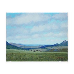 ""Early Morning"" Wichita Mountain Wildlife Refuge, Oklahoma Wüstenlandschaft