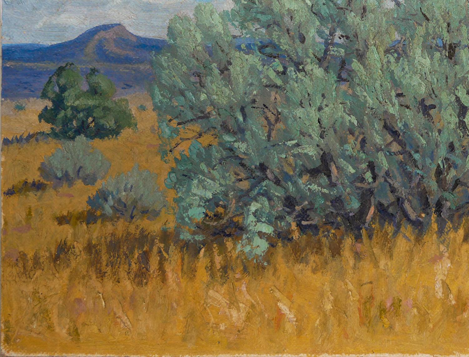 Paysage impressionniste abstrait du désert occidental vert, jaune et bleu en vente 1