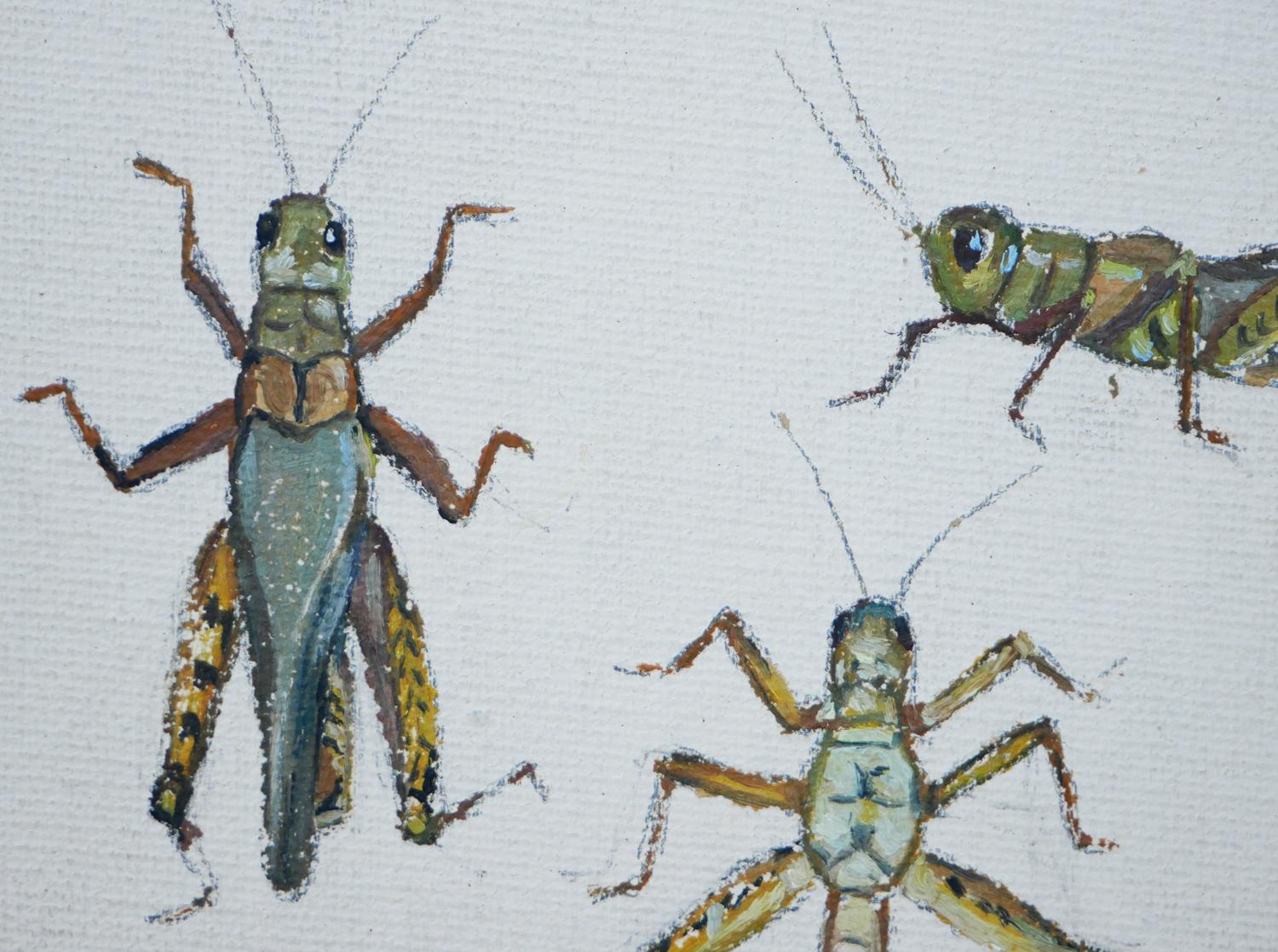 „Study of Crickets“ Grüne und braune abstrakte Aquarellillustration von Crickets im Angebot 5