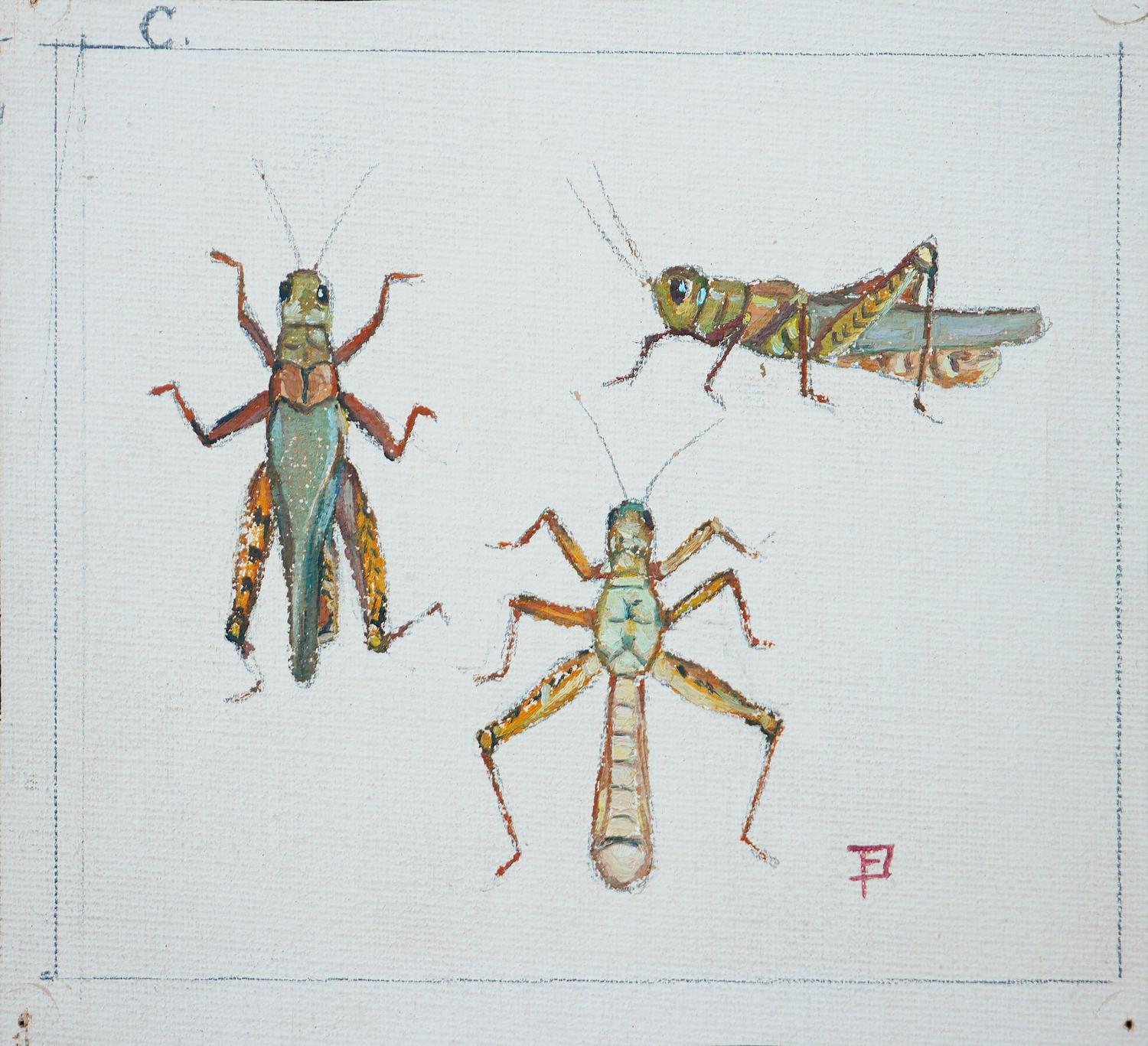 „Study of Crickets“ Grüne und braune abstrakte Aquarellillustration von Crickets (Abstrakter Impressionismus), Painting, von Fred Darge
