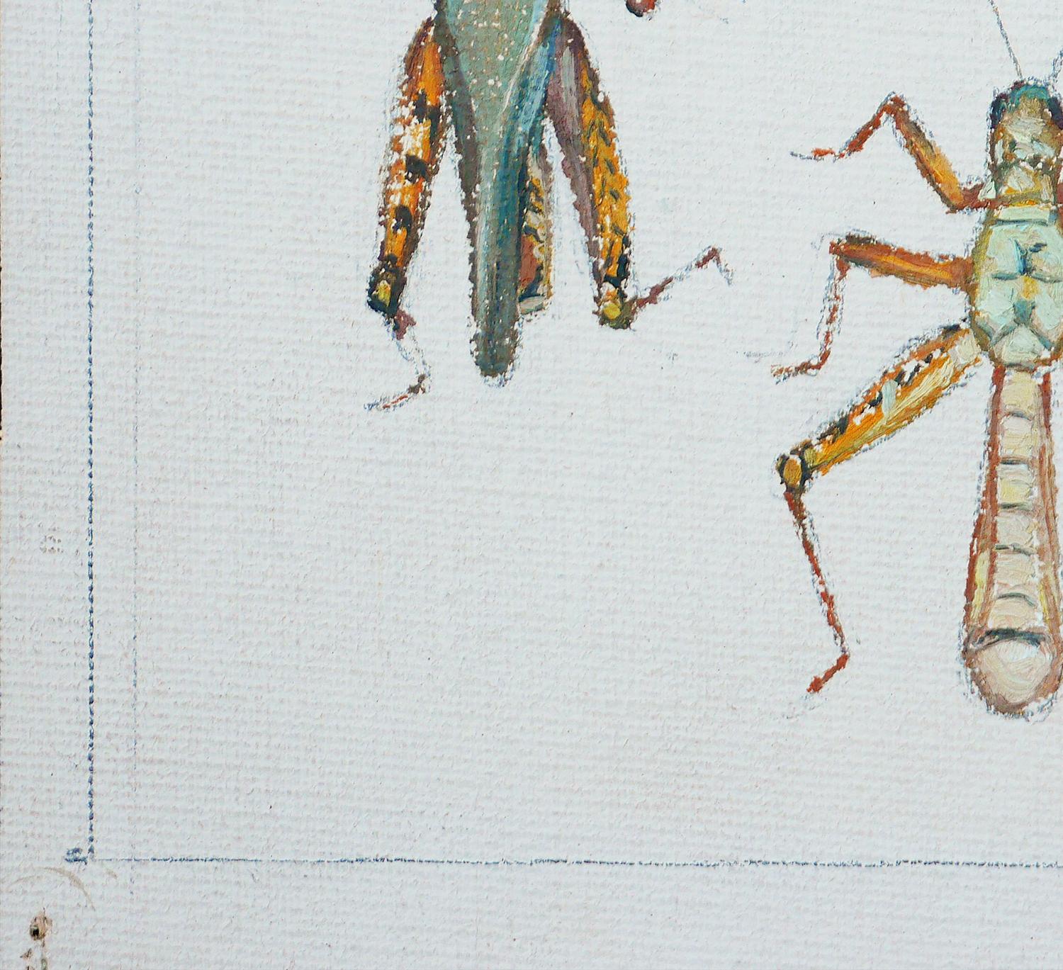 „Study of Crickets“ Grüne und braune abstrakte Aquarellillustration von Crickets im Angebot 1