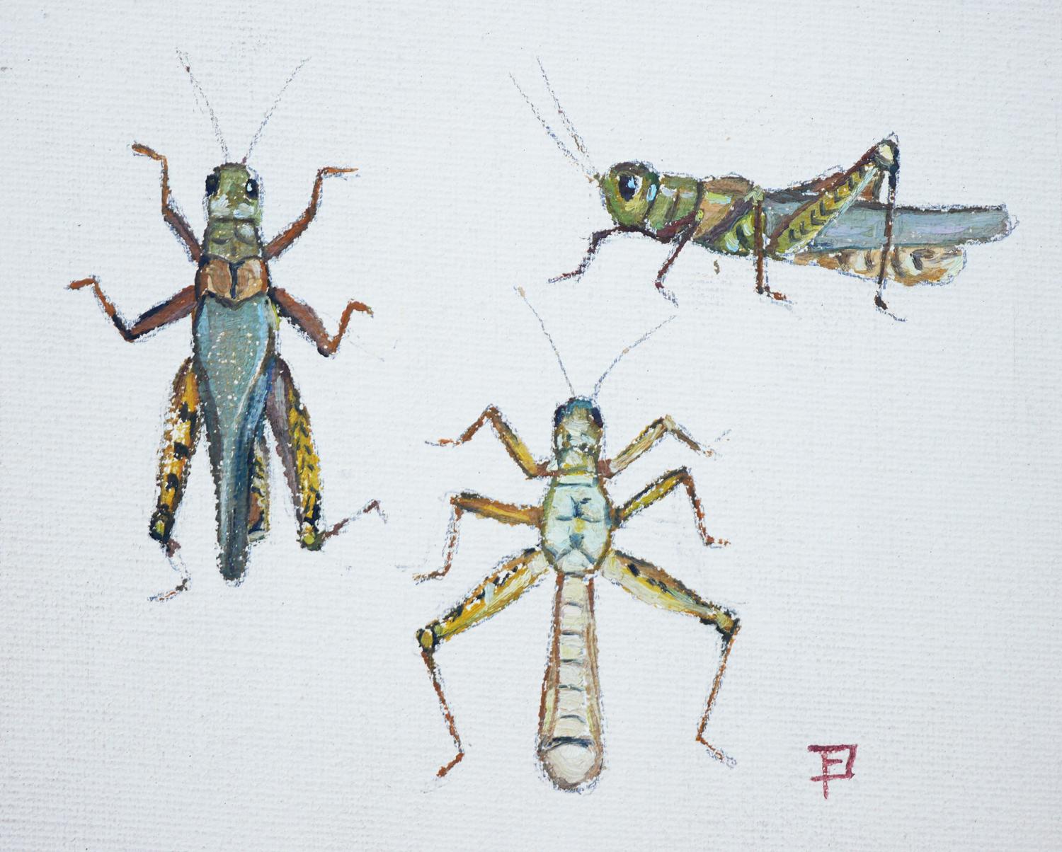  Warm-toned abstract illustrations of a study of crickets by German artist, Fred Darge. This painting depicts three varieties of crickets. Signed (monogram) by the artist at the bottom right corner. Unframed but framing options are