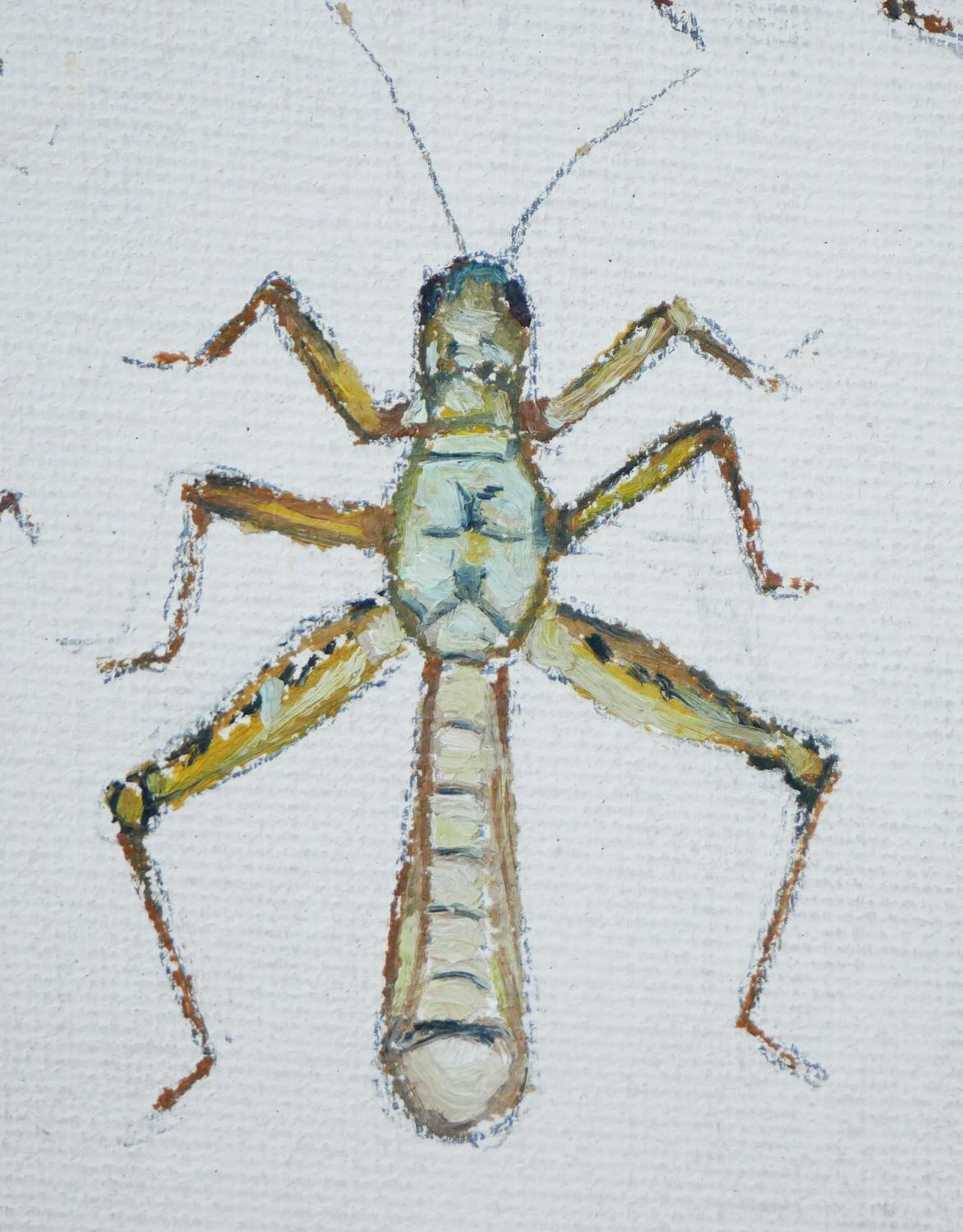 „Study of Crickets“ Grüne und braune abstrakte Aquarellillustration von Crickets im Angebot 4