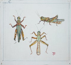 Vintage "Study of Crickets" Green and Brown Abstract Watercolor Illustration of Crickets