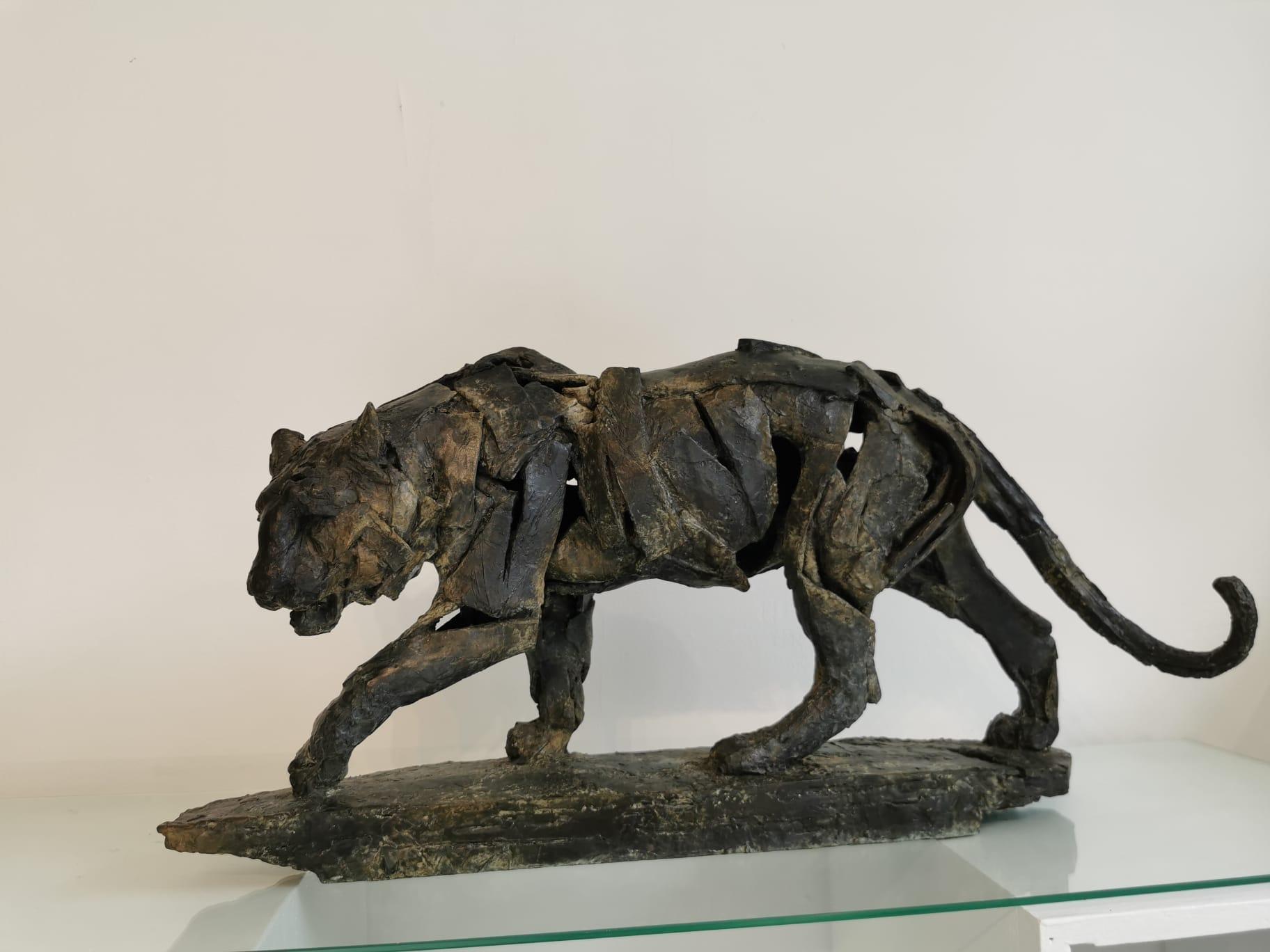 Walking Tiger For Sale 2