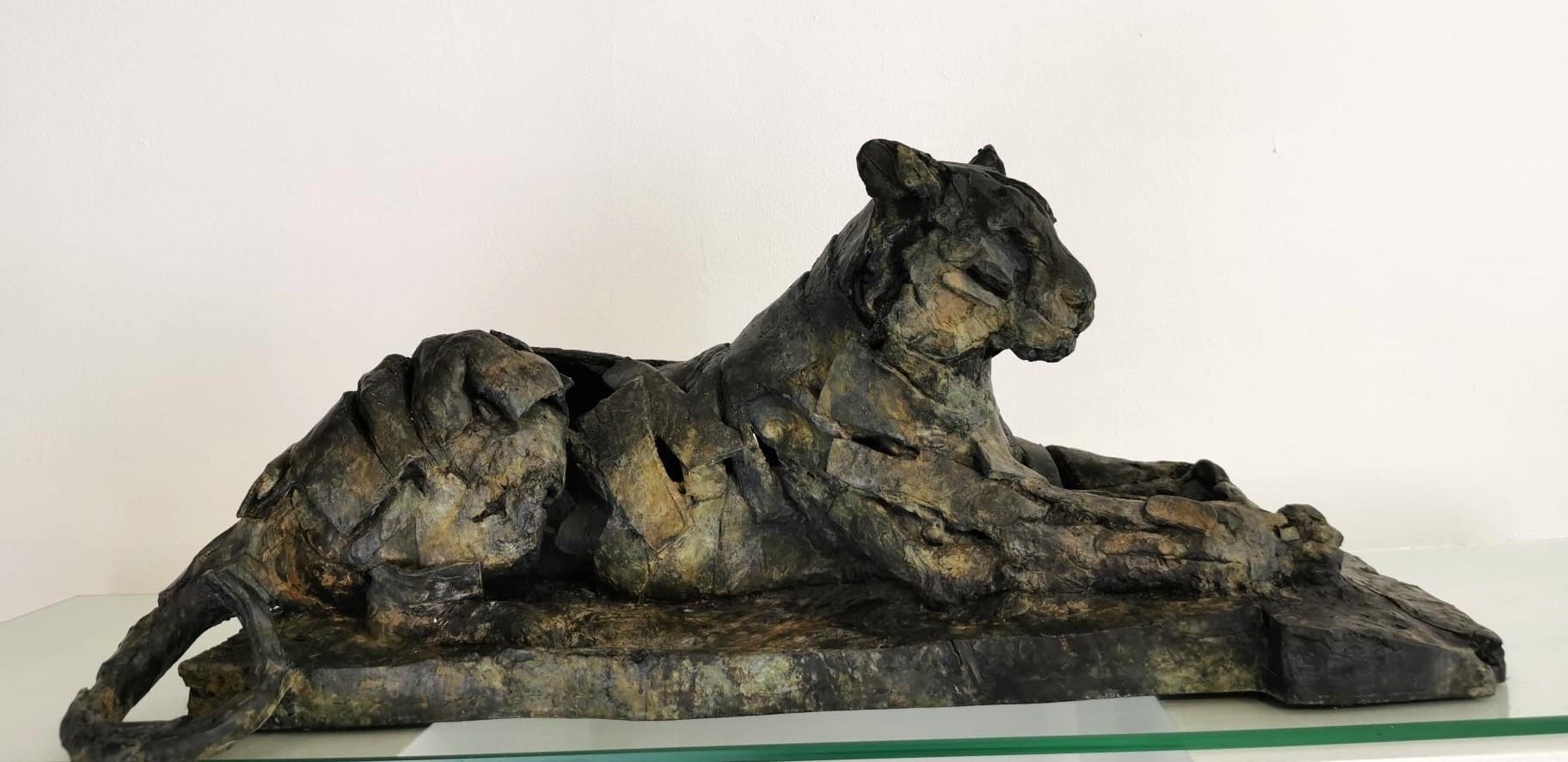 Tigre descansando en venta 1