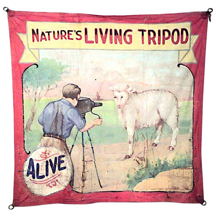 Fred Johnson-O Henry Tent & Awning Circus Banner "Natures Living Tripod"