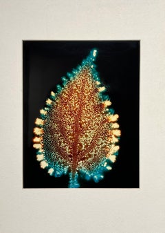 „Blumenblatt“, Kirleanfotografie, Elektrofotografie, einzigartiges Stück, Botany