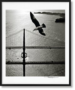 San Francisco. 'Seagull over Golden Gate Bridge, 1950s'. Book & Signed Print