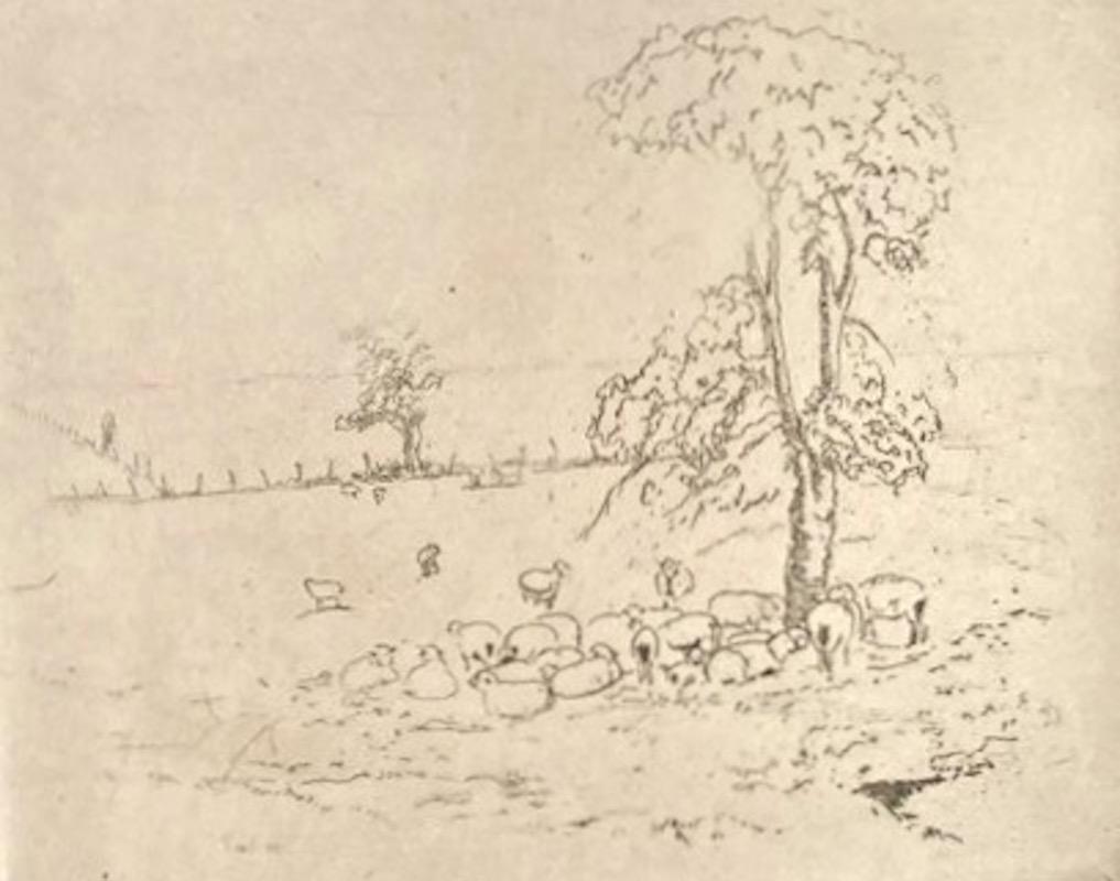 The etching (Sheep under a Tree) is signed in pencil and annotated (in lower margin) '3rd State, 4 proofs, JN imp.' in pencil.

It's in an usually spare drawing style but one that Nagler did use occasionally. This picture is the embodiment of calm.