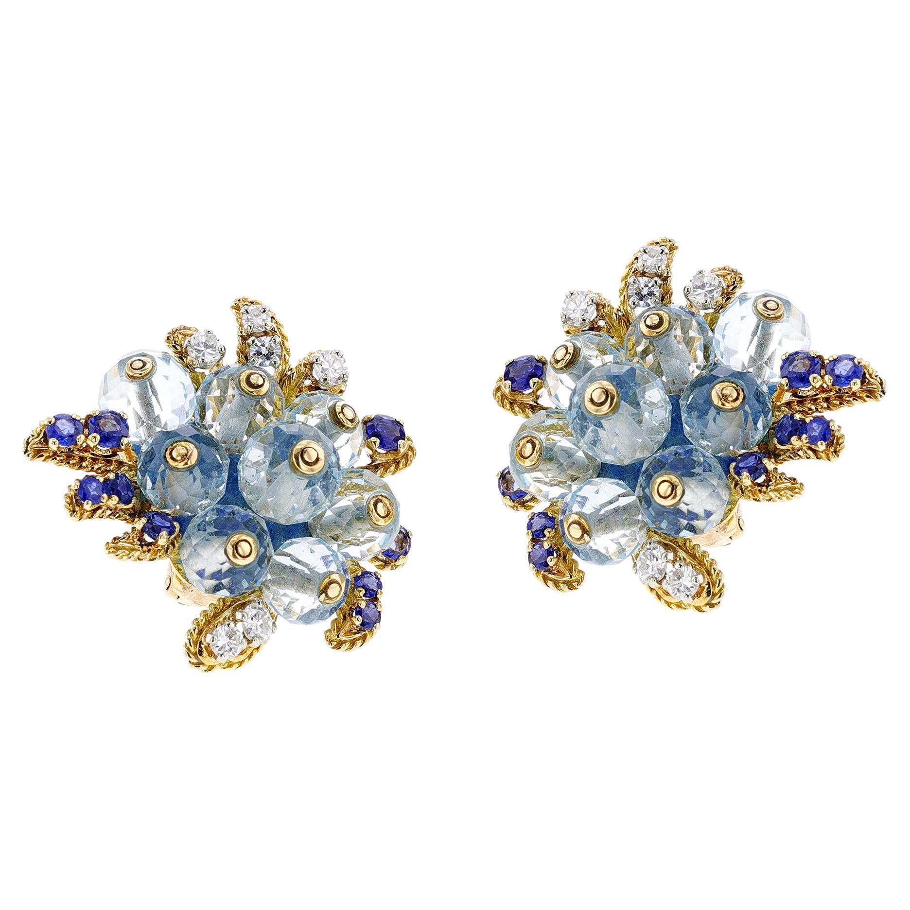 Vannucci Aqua Cluster Earrings main image 1