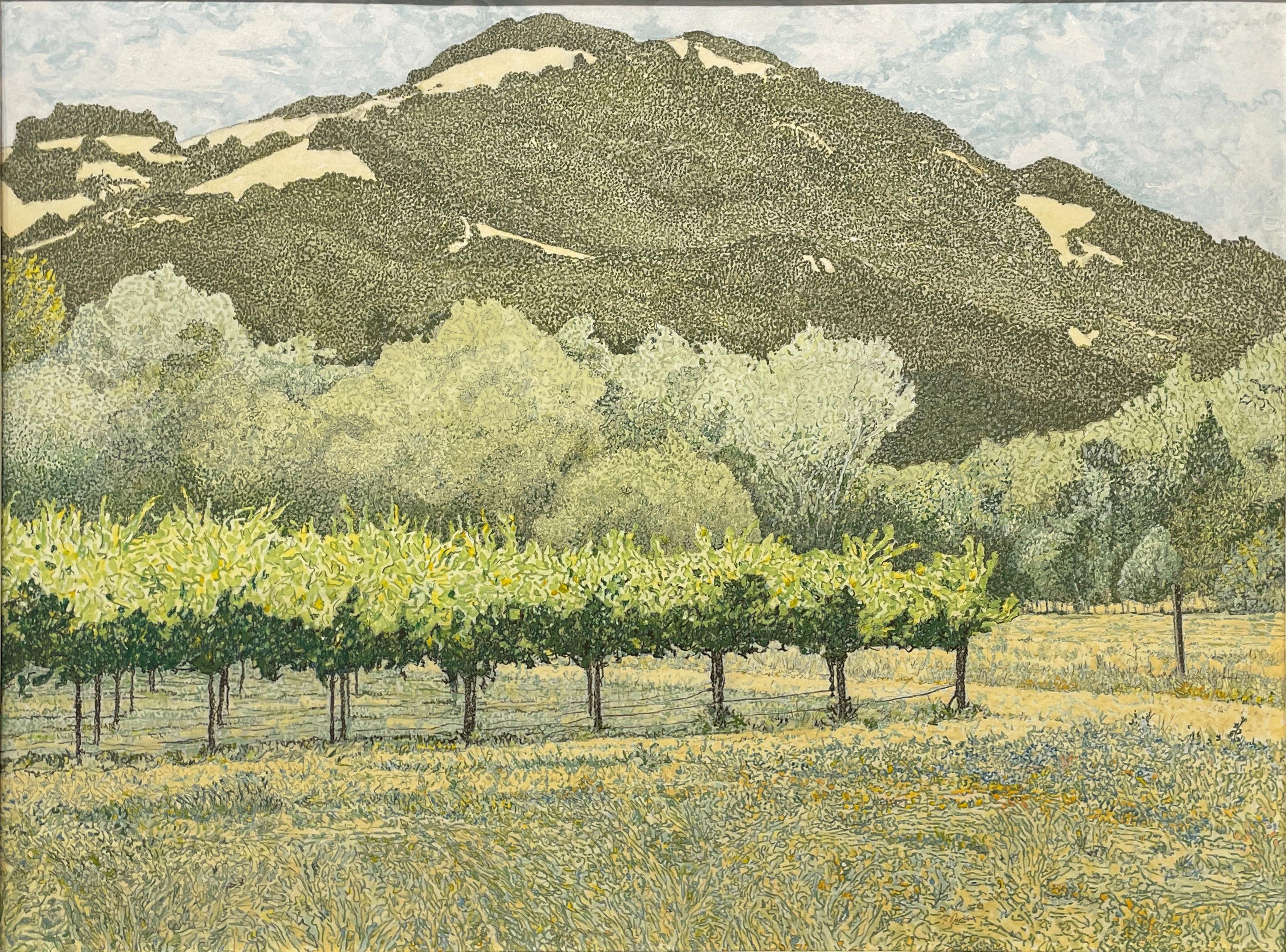 "Montagna di Sonoma", Fred R. Parker, Paesaggio della California, Fattoria degli Ulivi