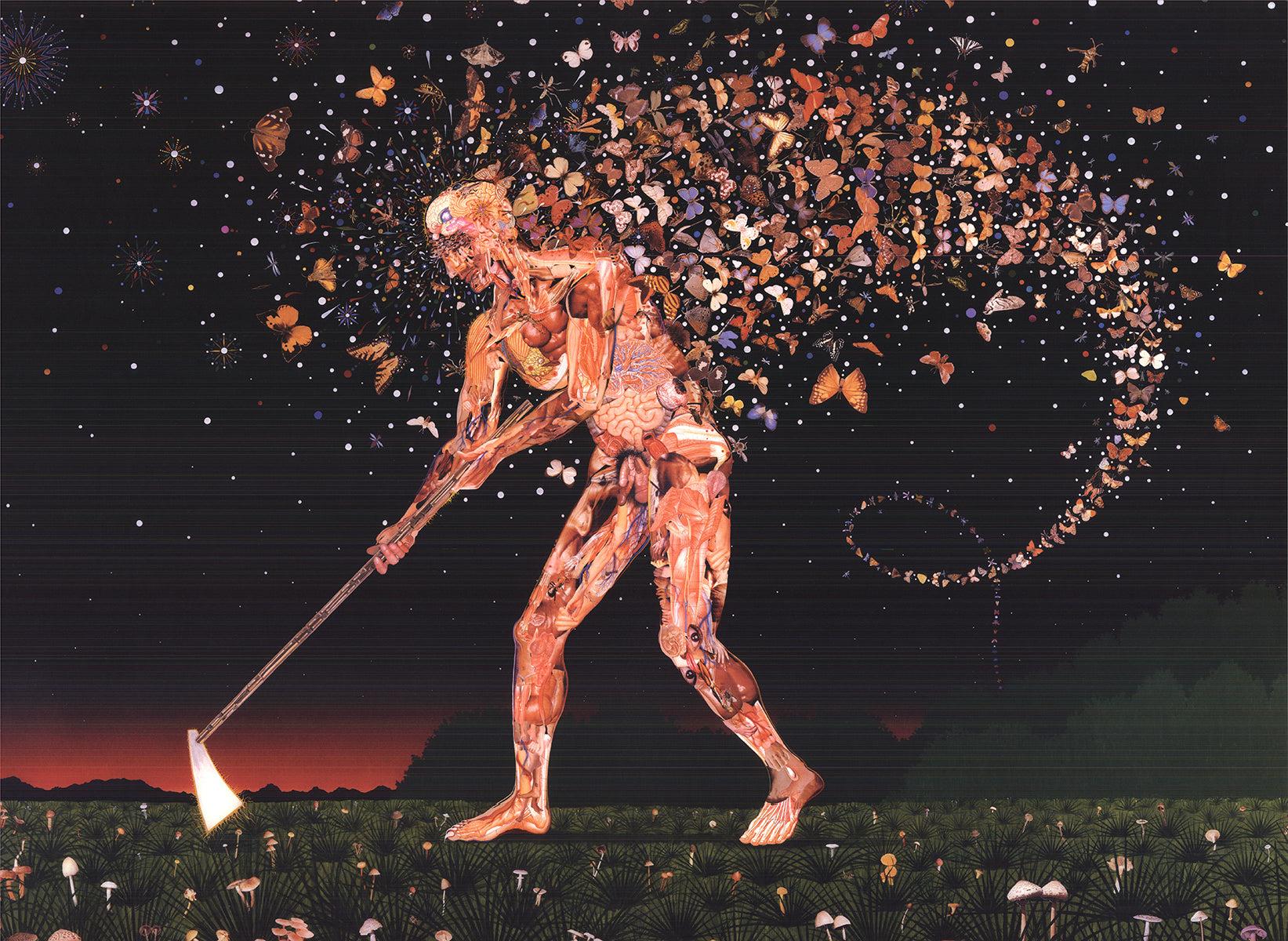 Fred Tomaselli 'Field Guides' 2003- Offset Lithograph- Signed 2