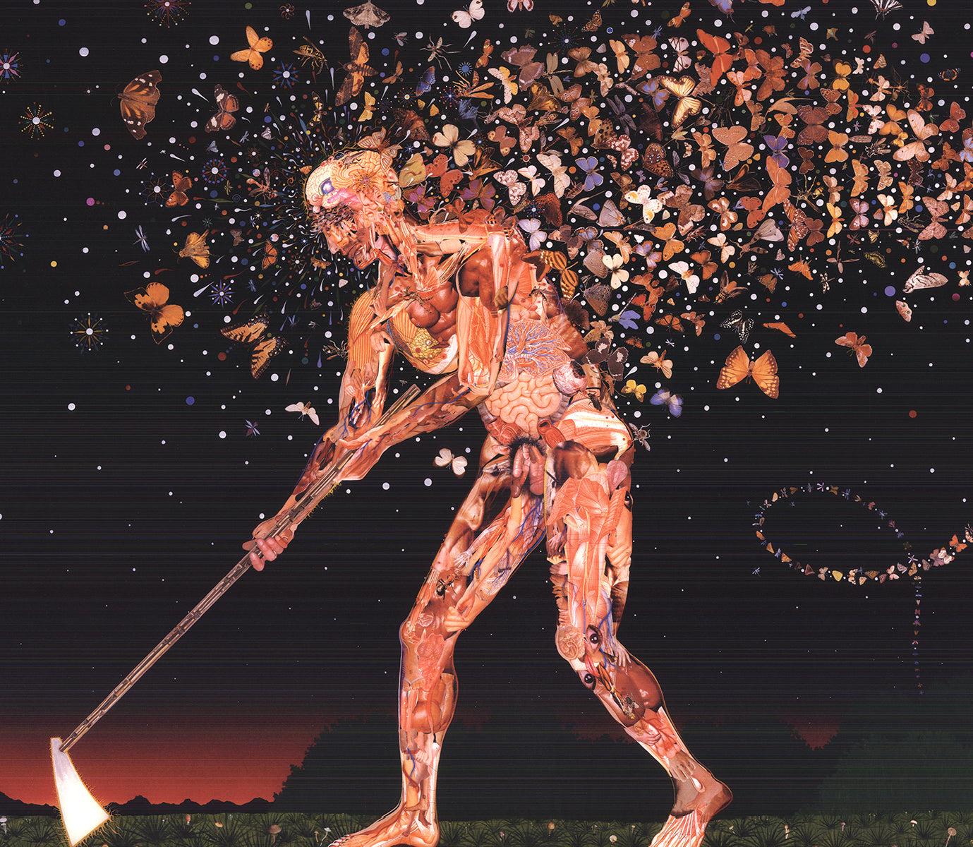 Fred Tomaselli 'Field Guides' 2003- Offset Lithograph- Signed 3