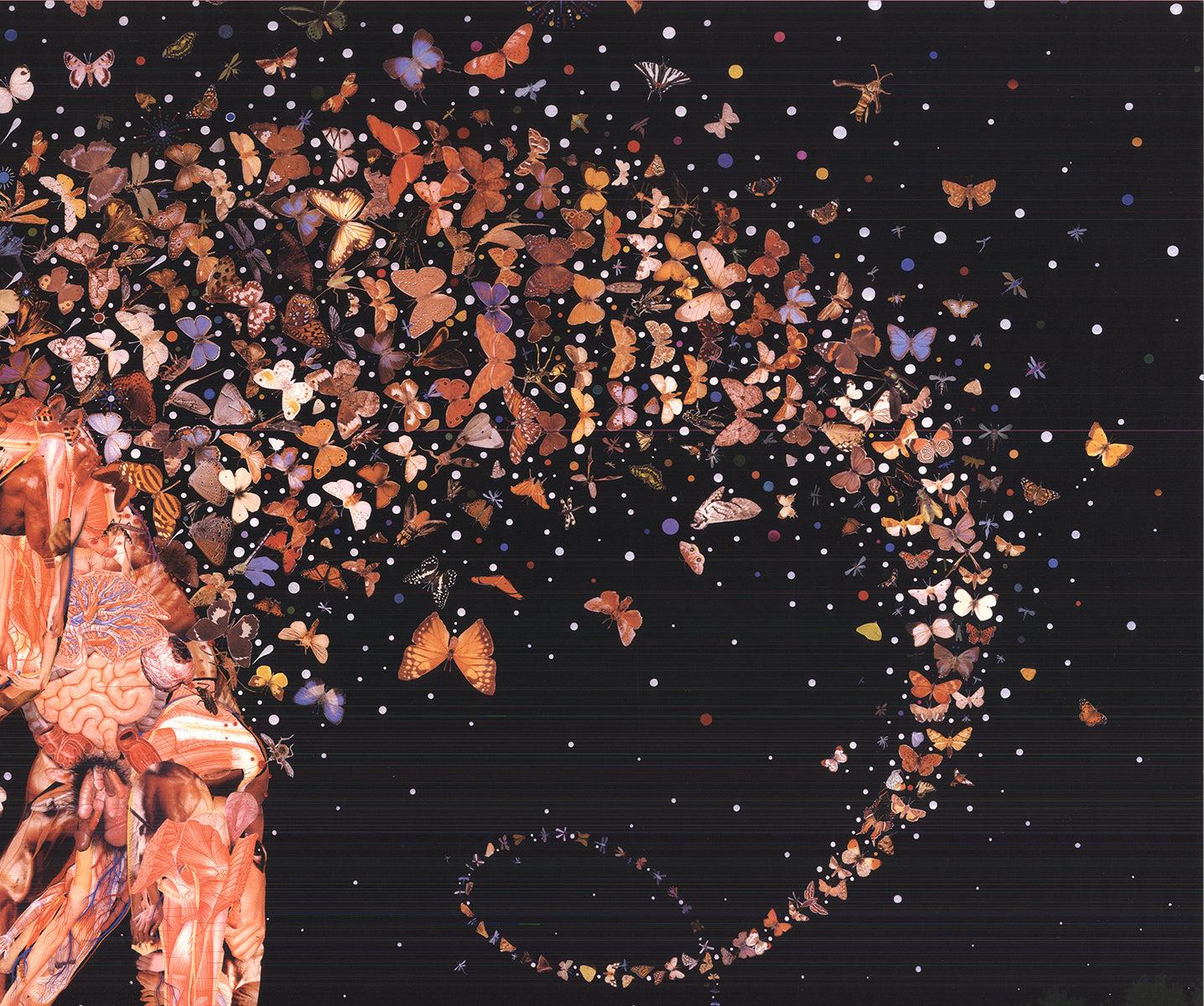 Fred Tomaselli 'Field Guides' 2003- Offset Lithograph- Signed 4