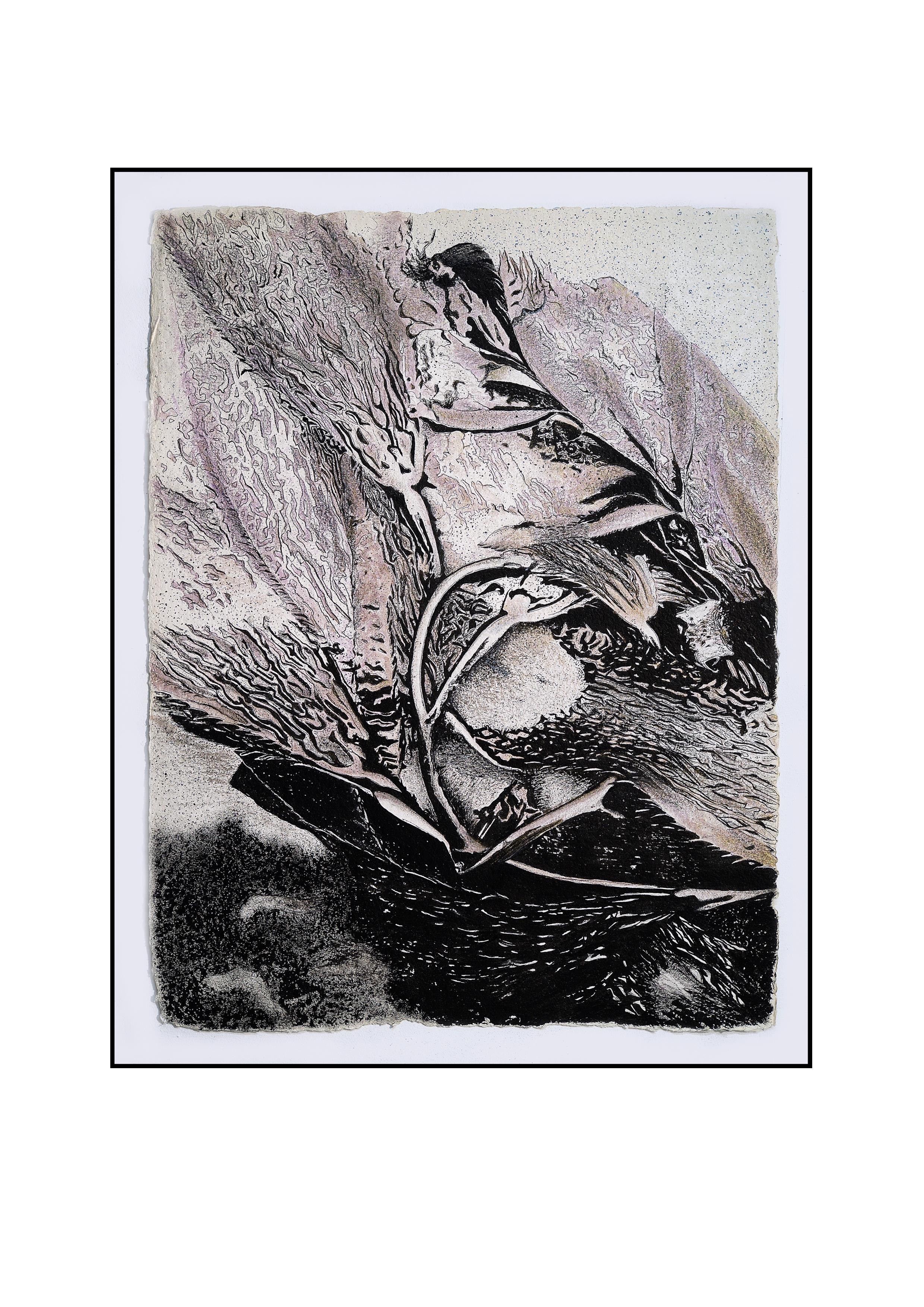 Frédéric Choisel Abstract Painting - Alga Aligata No. 3- seaweed kelp oceanic abstracted work on paper