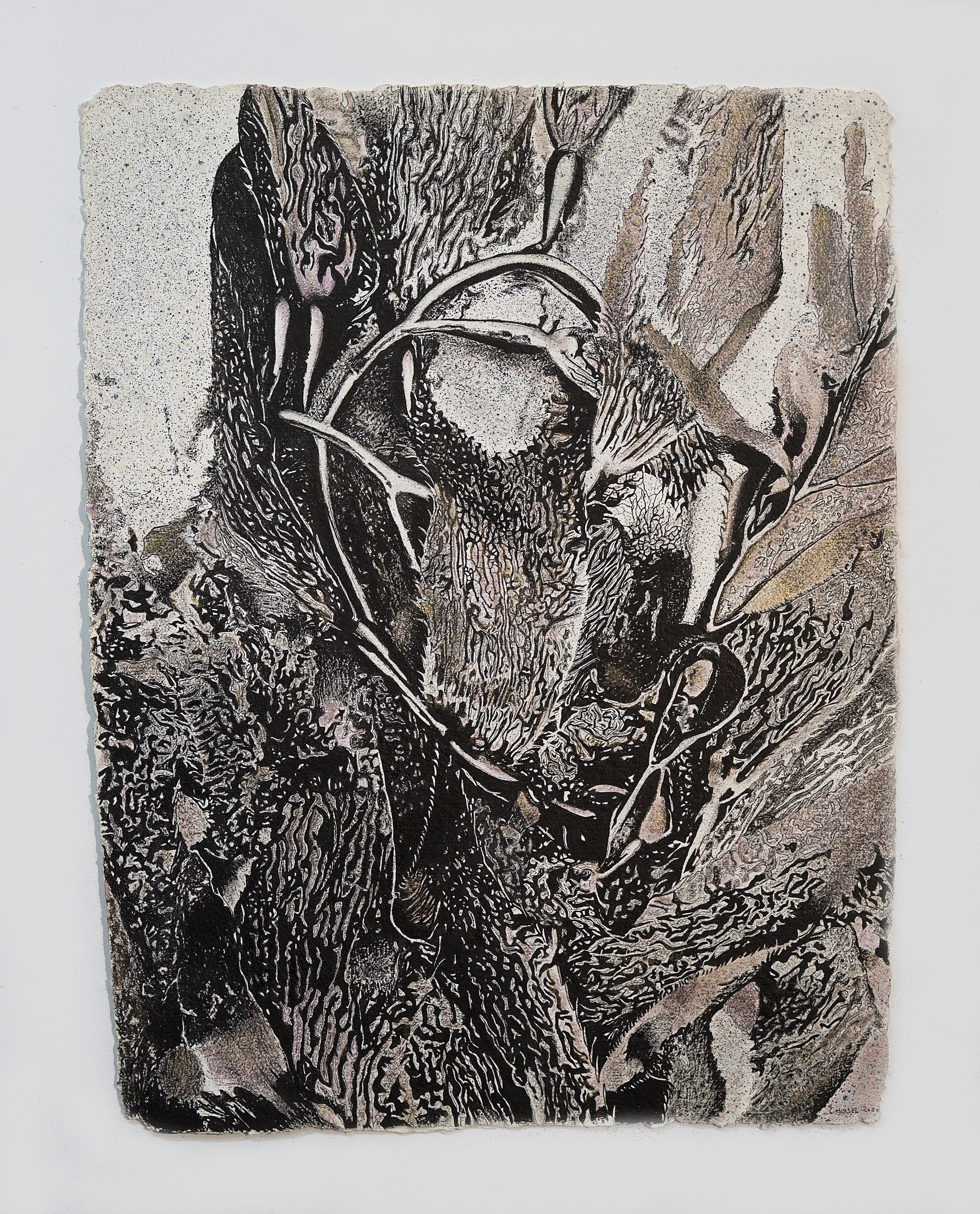 Alga Aligata No. 4- seaweed kelp oceanic abstracted work on paper For Sale 2