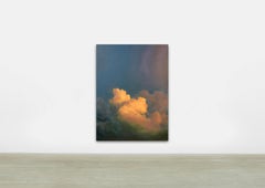 I.L.A. l   / Huile sur lin