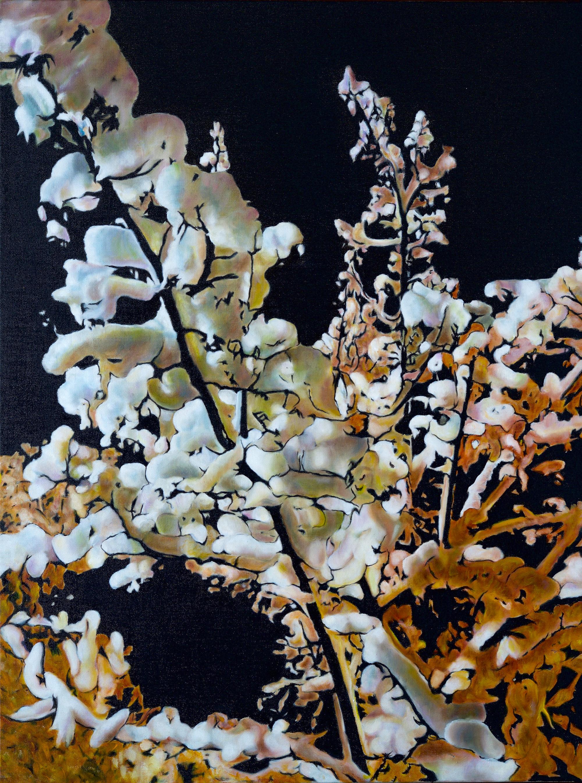 Still-Life Painting di Frédéric Choisel - Neige de Nuit (Neve notturna)