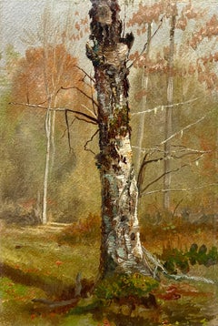 Estudio de árboles
