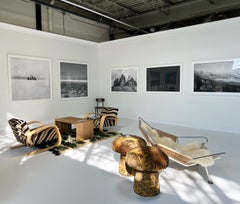 Frédéric Tougas, Strophes Pour L’hiver, Icicles, Edition of 6, Photograph