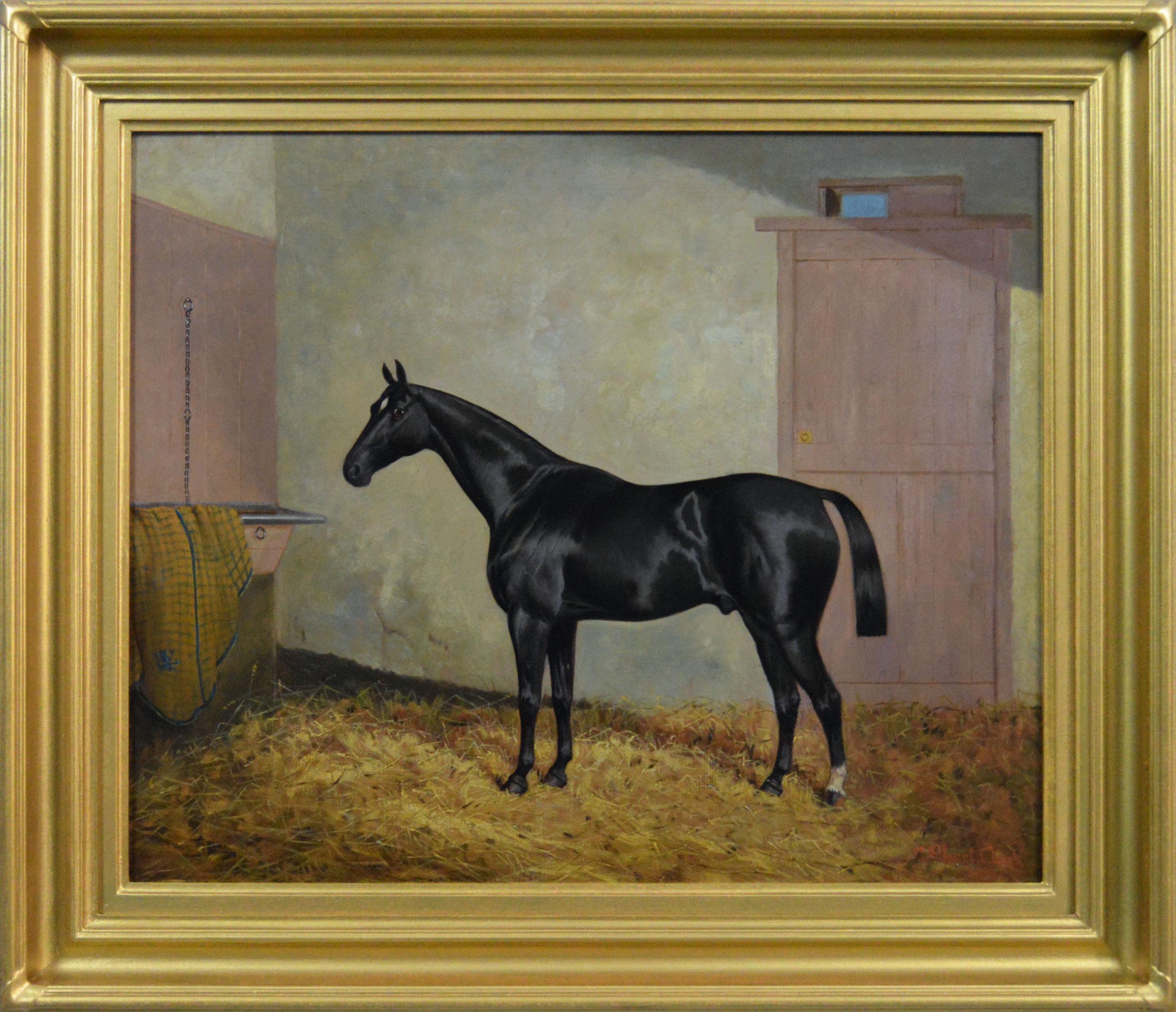 19th Century sporting horse portrait oil painting of a black horse in a stable