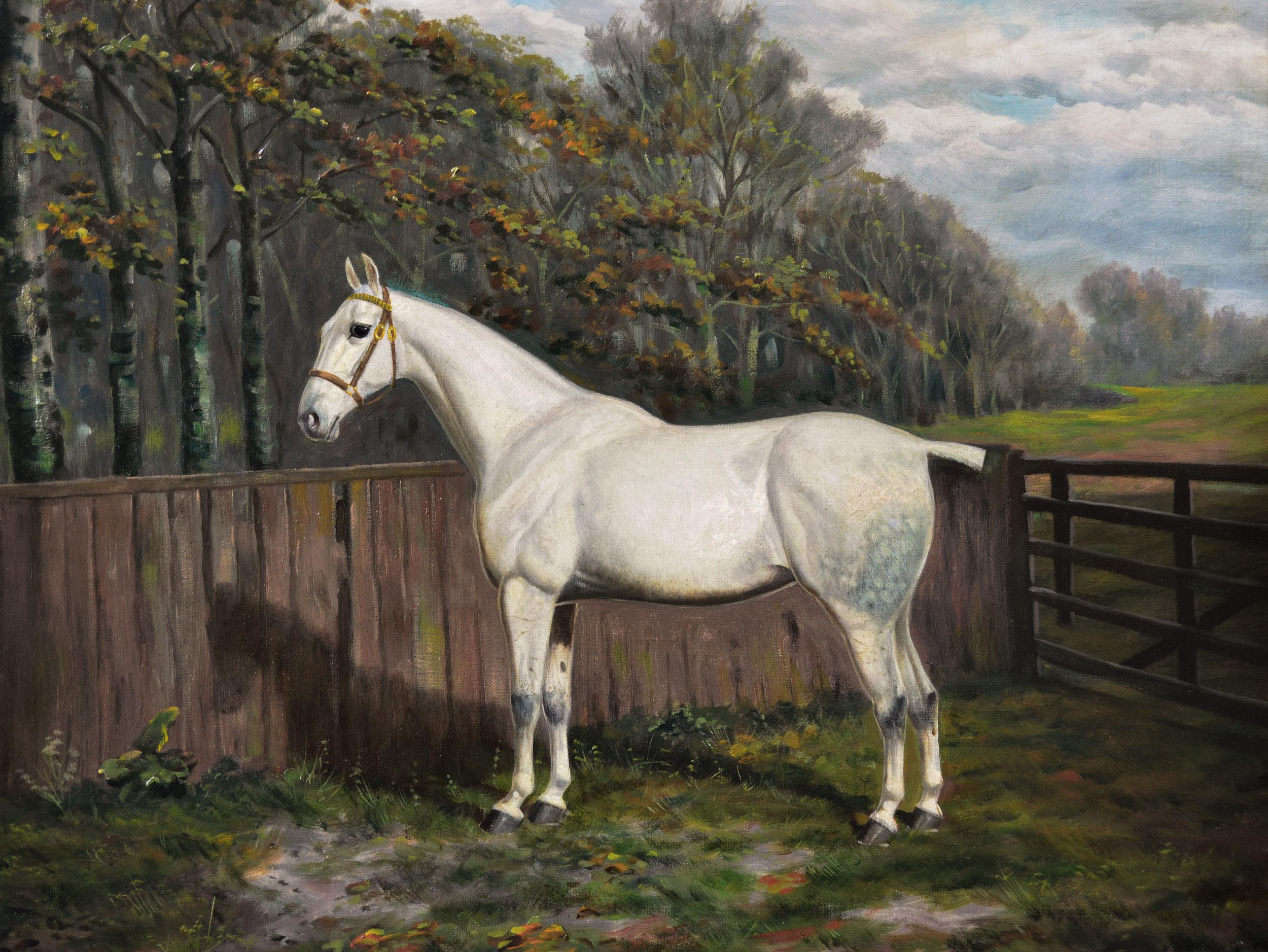 Sporting horse portrait oil painting of a prize winning grey mare - Painting by Frederick Albert Clark