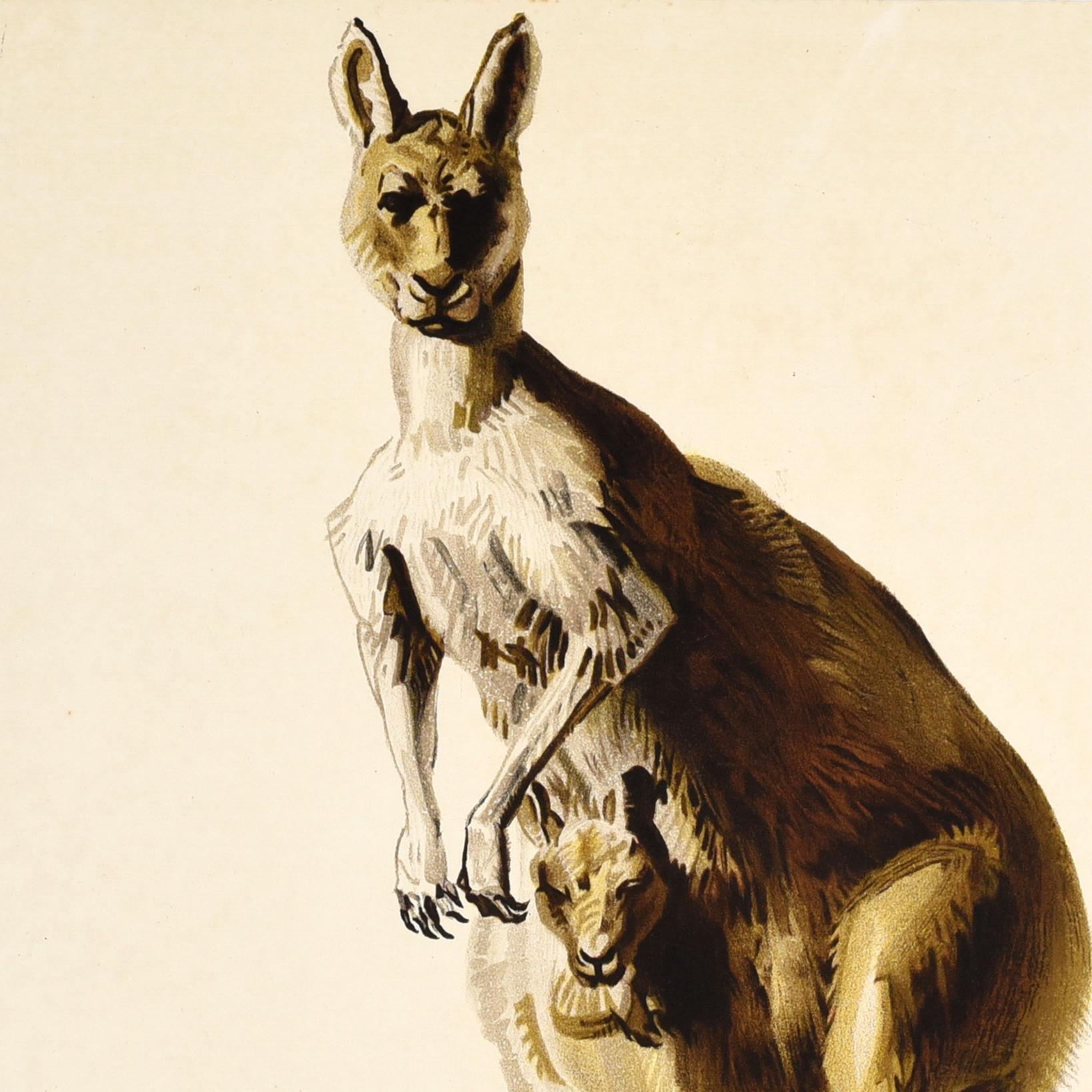 Poster d'epoca originale EMB Australian Sultanas Empire Marketing Board Kangaroo - Print di Frederick Charles Herrick