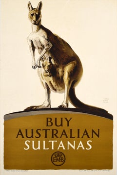 Poster d'epoca originale EMB Australian Sultanas Empire Marketing Board Kangaroo